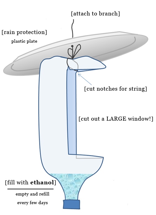 beetlebottle trap diagram