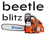 Bark Beetle Blitz – a field sampling workshop