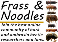 Join Frass & Noodles!