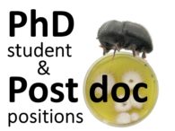 POSTDOC or PhD: invasive wood borers
